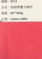 細中大絨布_8713