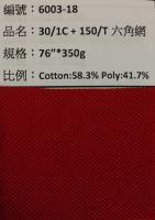 PK四角網布_6003-18